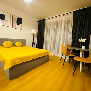Studio Appartement